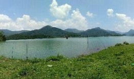 三坑水库爆料最新消息,揭秘水库周边生态保护与旅游发展新动态