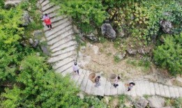 迪拜爆料网赌案件最新进展,警方破获大案，涉案人员被捕情况揭晓