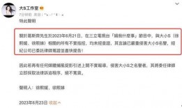 大小s最新爆料,揭秘娱乐圈不为人知的幕后故事
