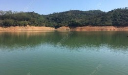 三坑水库爆料最新消息,揭秘水库周边生态保护与旅游发展新动态