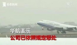 飞机事件最新爆料,最新爆料揭示惊人内幕！”