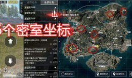 最新爆料地下蚁人,神秘生物的生存智慧与生态奥秘